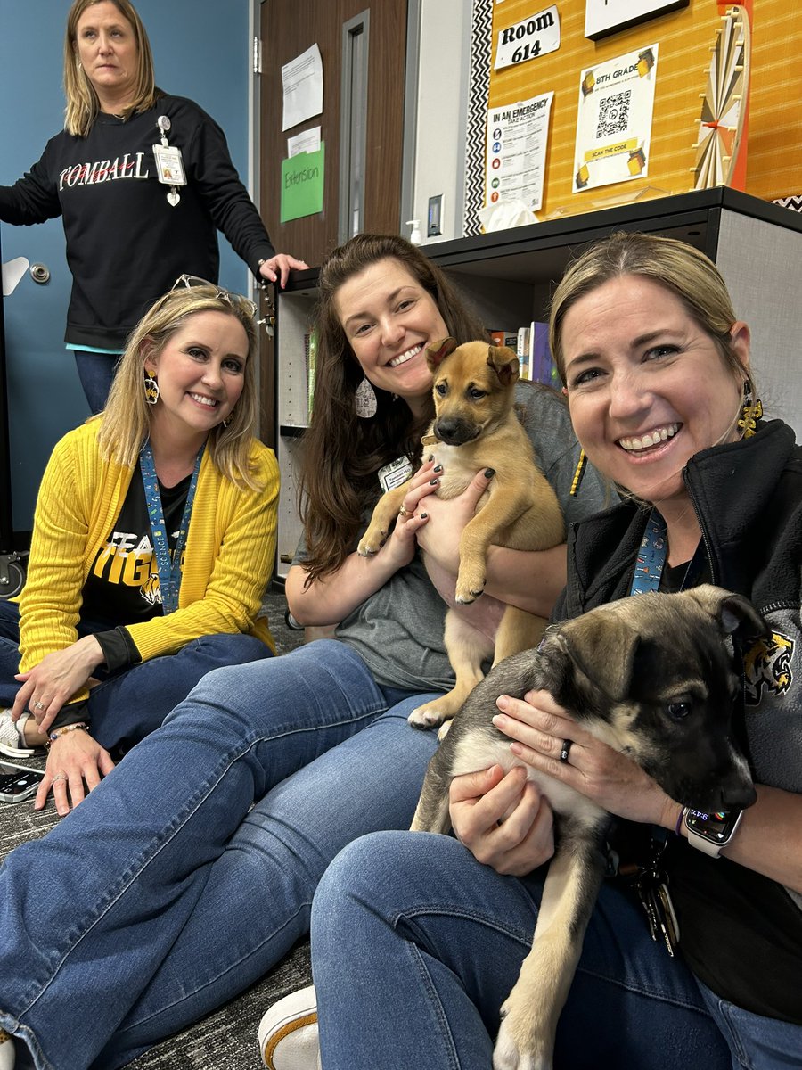 jenniferlove82's tweet photo. Anticipating puppy therapy is was got me through my week!  It didn’t disappoint!  @TISDGLJHS @TomballISD @GLJHMrsStraley https://t.co/gO2hvULmw8