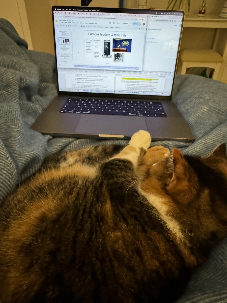 Helen Dixon (@dixouon) on Twitter photo Week 18 is all about preparing for the launch of #B329LeadershipChallenge Whilst I’m busy working, Tiggy (Team Yellow’s expert advisor) is sleeping on the job <a href="/CatWorkers/">cats with jobs 🛠</a> <a href="/ShouldHaveCat/">Why you should have a cat</a> <a href="/OpenUniversity/">The Open University</a> <a href="/B329Leadership/">B329 Leadership</a> <a href="/KateKHammond/">Kate Hammond #OUB329 Tutor/Get Psyched Up!</a>
Tiggy recommends you follow me to find out more! Week 18 is all about preparing for the launch of #B329LeadershipChallenge Whilst I’m busy working, Tiggy (Team Yellow’s expert advisor) is sleeping on the job <a href="/CatWorkers/">cats with jobs 🛠</a> <a href="/ShouldHaveCat/">Why you should have a cat</a> <a href="/OpenUniversity/">The Open University</a> <a href="/B329Leadership/">B329 Leadership</a> <a href="/KateKHammond/">Kate Hammond #OUB329 Tutor/Get Psyched Up!</a>
Tiggy recommends you follow me to find out more!