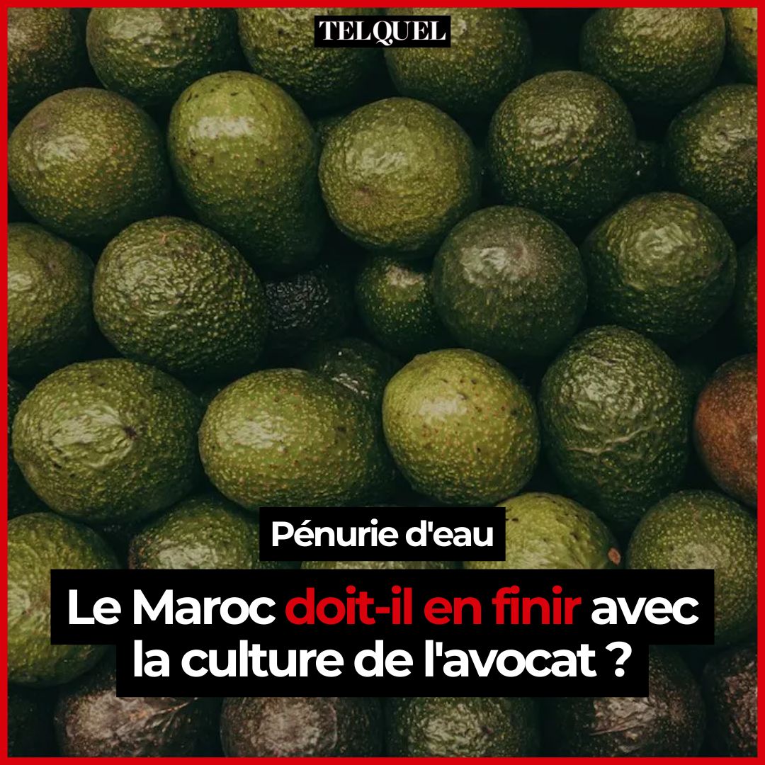 TelQuel tweet media