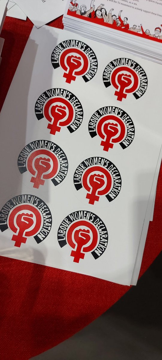 AnnDHenderson's tweet photo. The @LabWomenDec stall has been busy all day @ScottishLabour #ScotLab https://t.co/swBVcQ3n5j