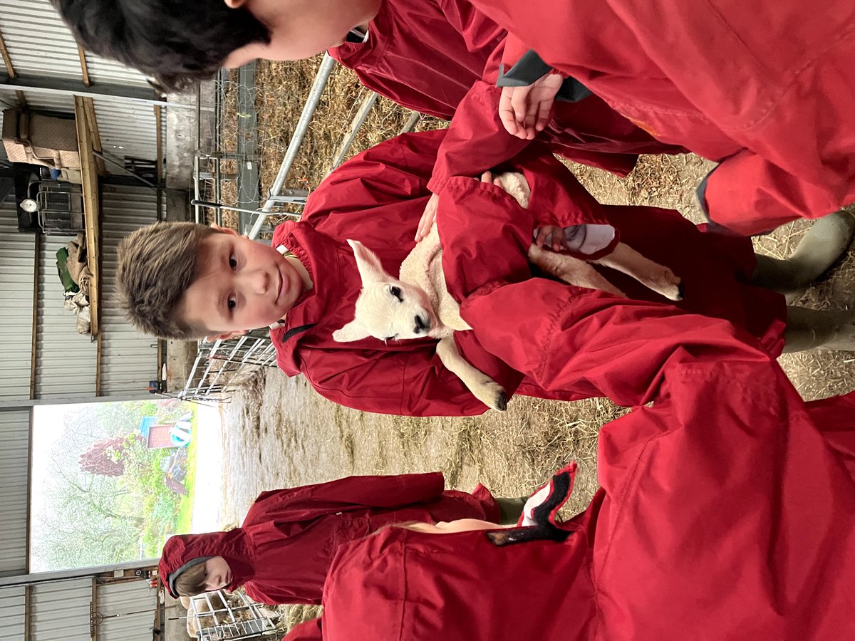 Trewern OEC tweet media