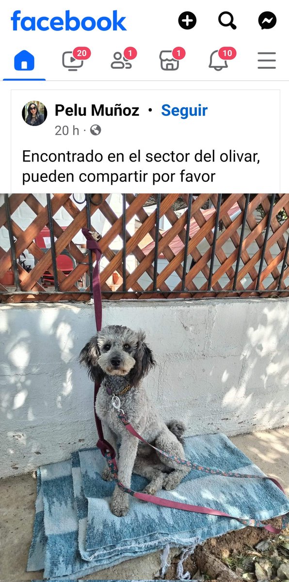 monsalvesmonica's tweet photo. https://t.co/Ek3Lgm0mji