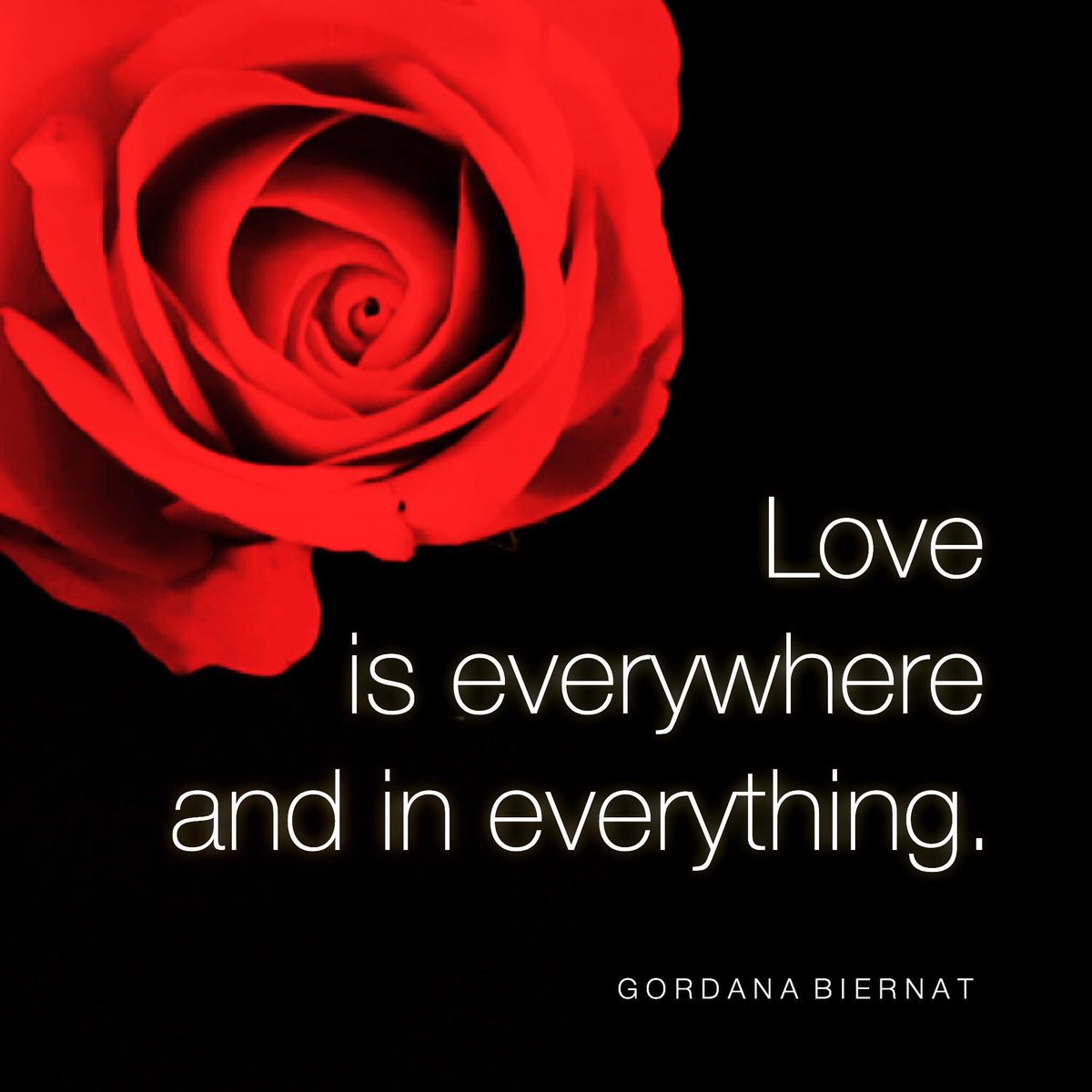 ❤️
LOVE is
boundless
ageless
beautiful❤️
creative
limitless
real✨
amazing
reassuring❤️
inviting
embracing...
❤️
LOVE is 
All That Is✨
       ✨   ❤️    ✨
❤️   ✨     ❤️
✨     ❤️✨   ✨
       ❤️     ✨❤️✨
              ✨❤️
                              ❤️

#FridayVibes