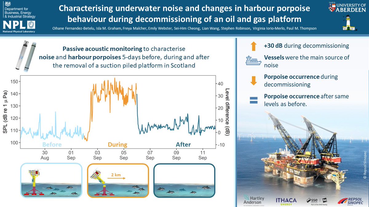 In time to celebrate🎇#WomenInScienceDay Marine Pollution Bulletin published our latest #LHSciencePaper!
In collaboration with <a href="/NPL/">NPL</a> we are the first to investigate the responses of harbour porpoise to the #Decommissioning of a man-made structure #Oil&amp;Gas ➡️tinyurl.com/wyy82mkn