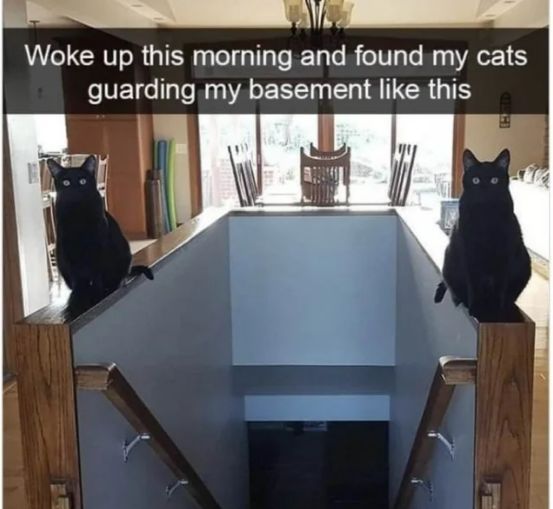 WholesomeMemes (@wholesomememe) on Twitter photo 