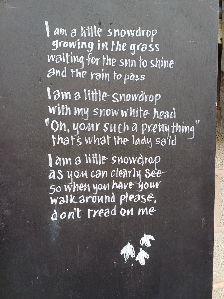 kendie's tweet photo. Snowdrop walk at Rode Hall. Snowdrops aren't as good as last year, not sure if it's too much rain and not enough sun. It's a lovely place for a wander. #rodehall #snowdrops https://t.co/9tWqWPk4jE