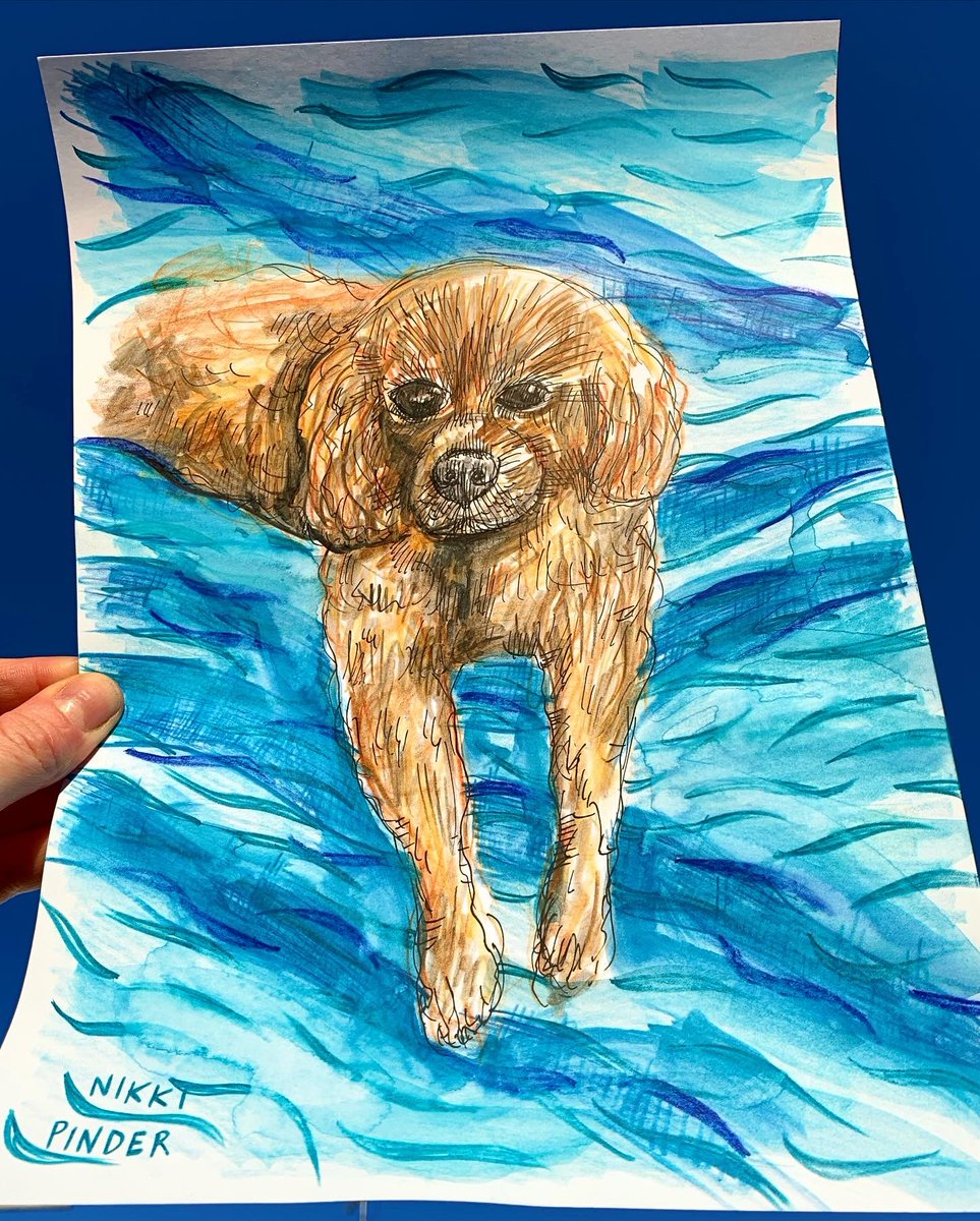 NikkiPinder's tweet photo. Mungo the King Charles Spaniel
#dogportrait #kingcharles #kingcharlescavalier #dogportraits #drawingdogs #pencilcrayon #dogs #inkdrawing #dog #cute #puppy #crosshatching #colourful #ink #bestfriend #pet #fineliner #fineliners #dogsofinstagram #tail #dogs #drawing #original #art https://t.co/x8DlLwfAQK
