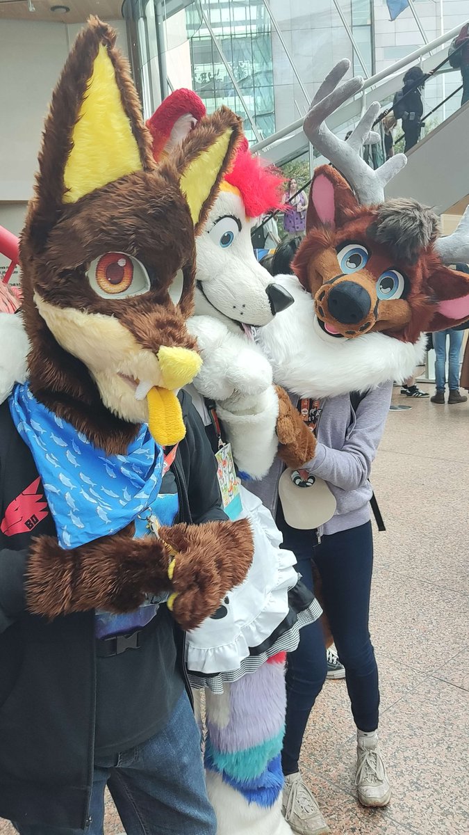 Vakama75G's tweet photo. It's #FursuitFriday
Here's somes📷 from #DublinComicCon #DDC23 #DublinComicCon23 https://t.co/w5178cKtij