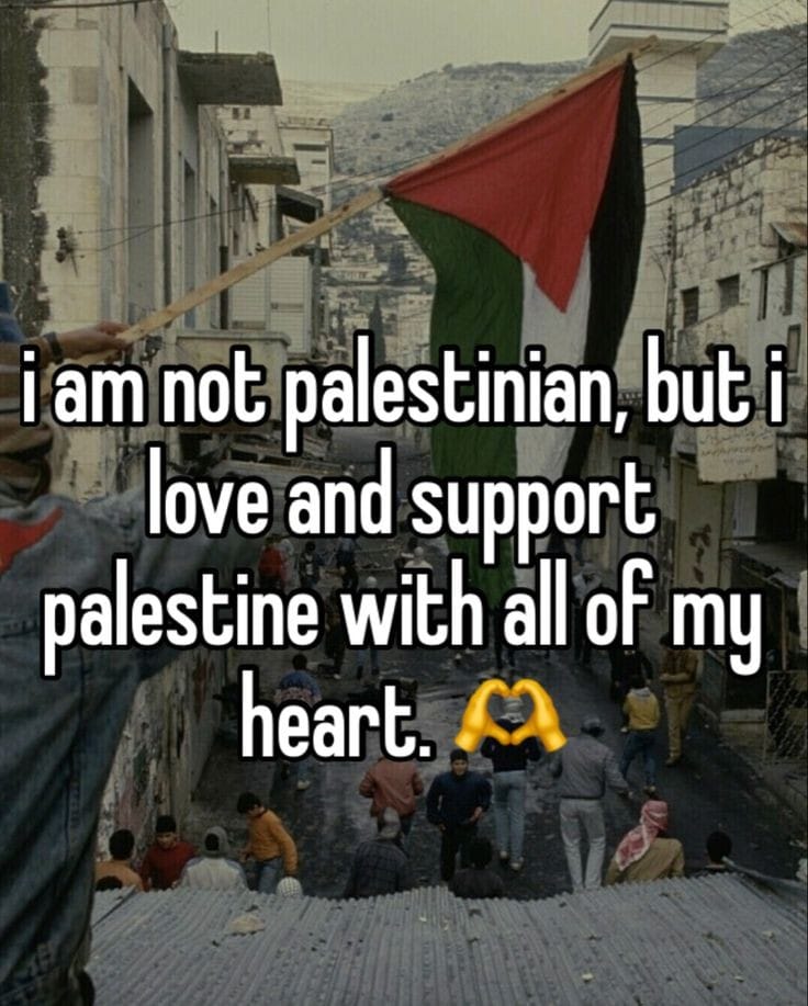 Mr Crypto OG tweet media