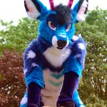 Photo by Saphi 💕 (@SaphiFox)