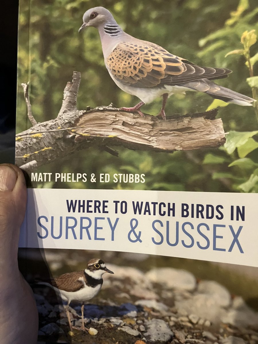New book just arrived, plenty of info on the Selsey/Medmerry/Pagham areas and a good read throughout @mostlyscarce @Godalming_birds @sussexbirding @SussexOrnitholo