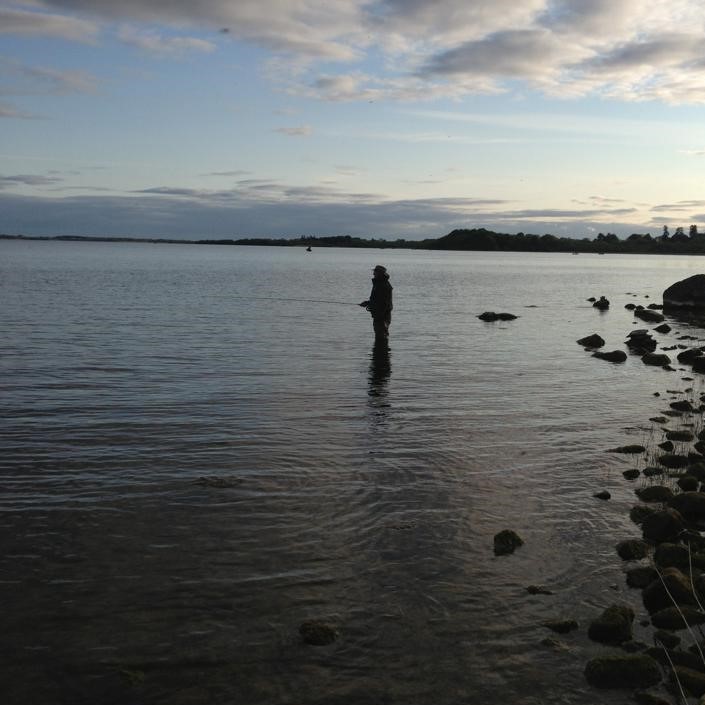 Change in habits of 94% of Lough Sheelin's anglers recognised : flyfishing-and-flytying.co.uk/change-in-shee…