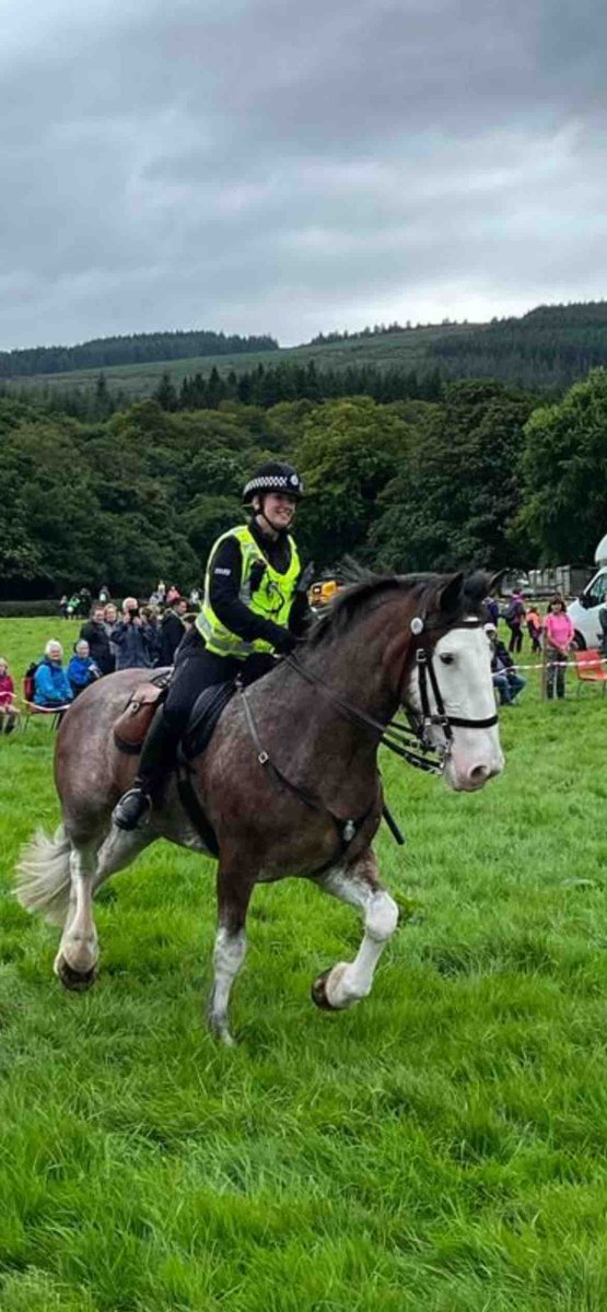 Did you know all our police horses are named after towns or places in Scotland? Here is one of our Clydesdale’s PH Abercorn. Who is your favourite police horse that you would like to see more of? 🐴🐴