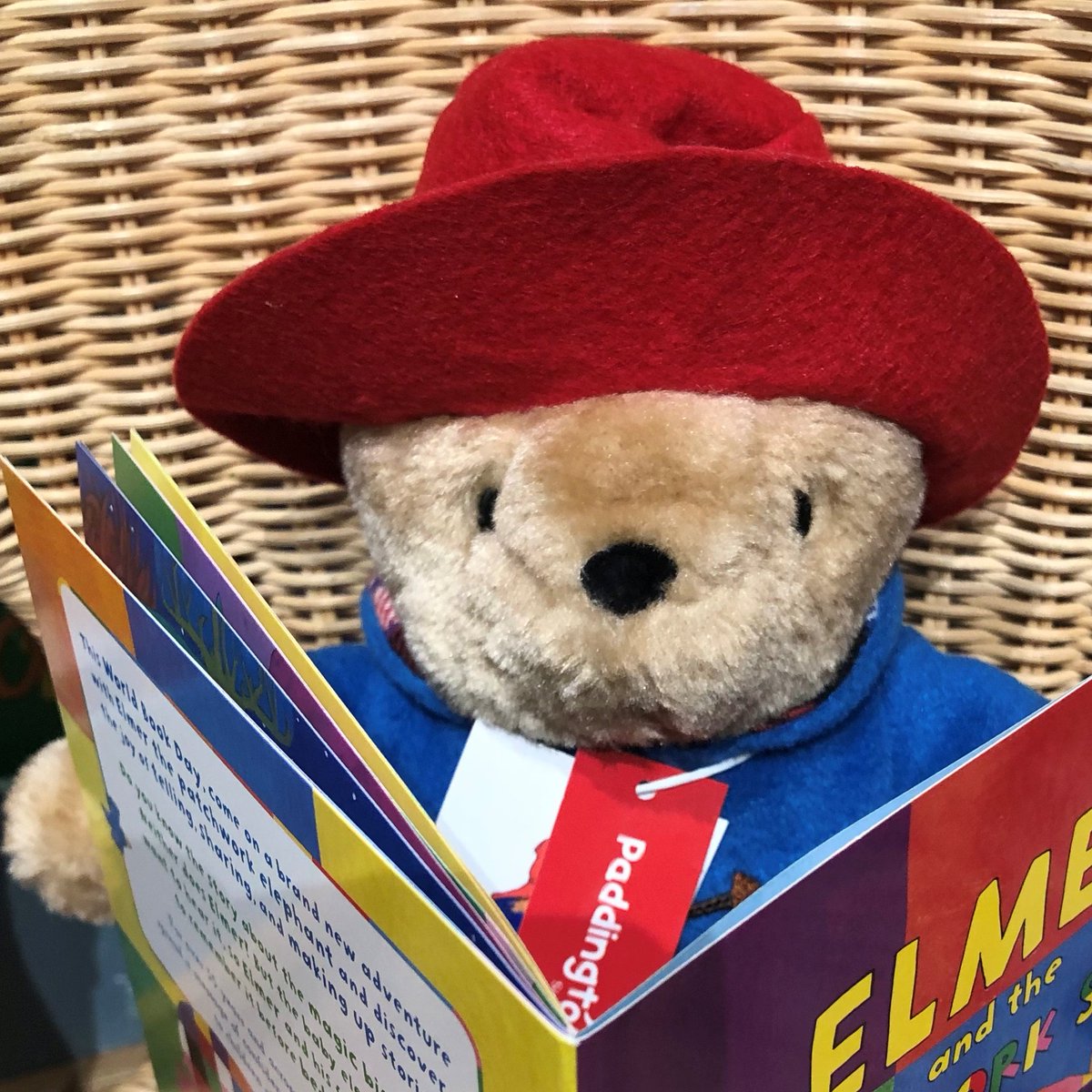 Hurrah the World Book Day books are here.@WorldBookDayUK When you get your vouchers from school come in and choose one Paddington is super excited with his choice!