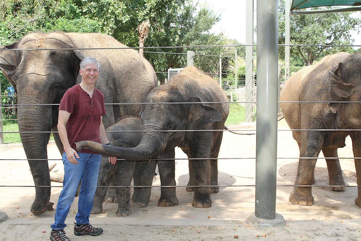 ElephantsIEF's tweet photo. Included in #ThingsWeLove is the global effort to #StompOutEEHV. EEHV is a deadly virus that affects all elephants. Thanks to researchers around the world (like Dr. Paul Ling  here), we are so close to a vaccine to provide protective immunity. This will help elephants everywhere. https://t.co/B9FqB53v68