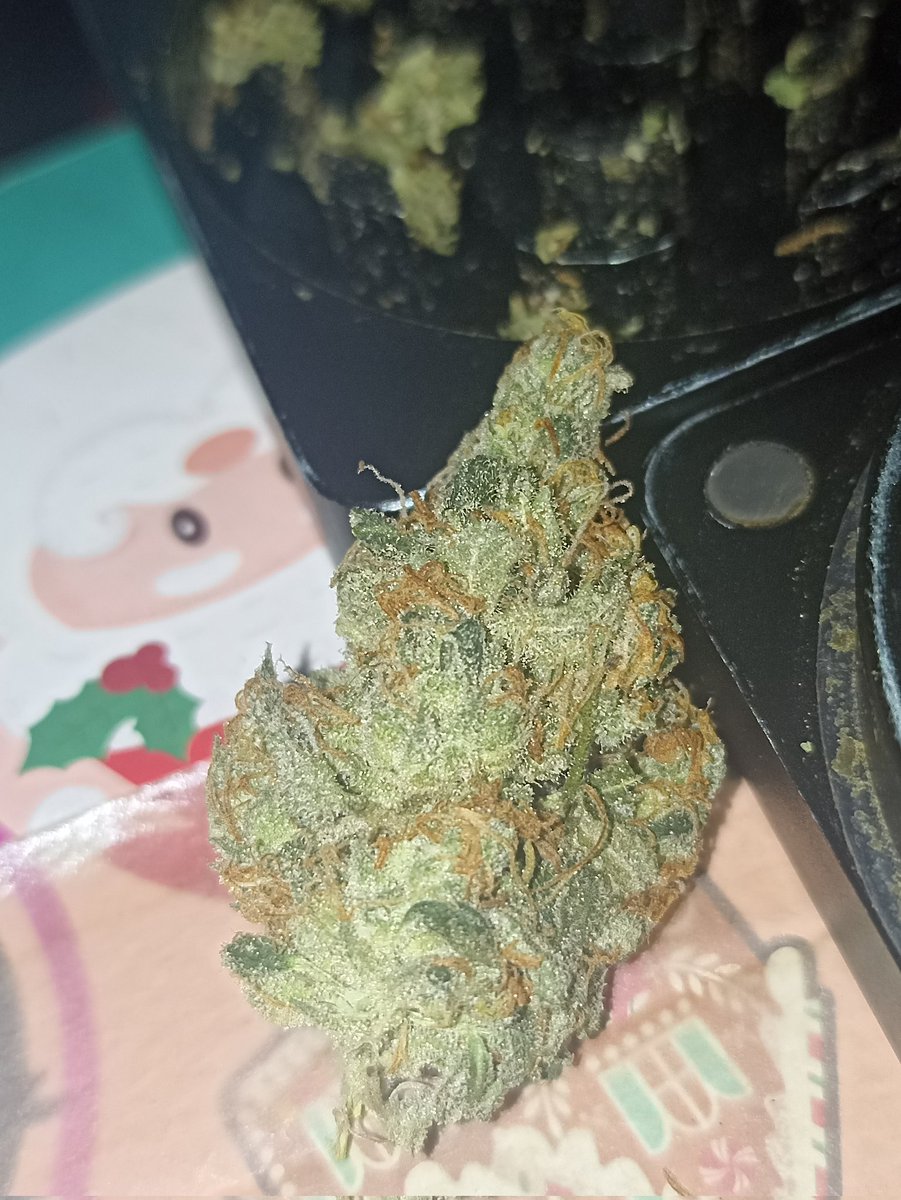 deep_645's tweet photo. Pineapple for breakfast 😋 #kushtime https://t.co/odopq5suSf