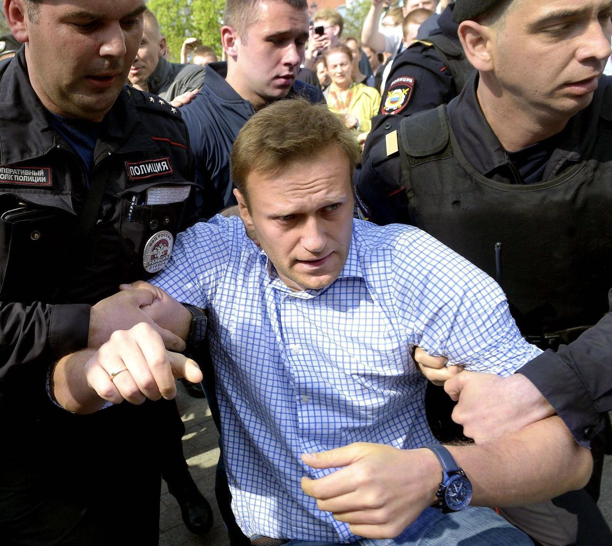 I looked in my picture dictionary pictures for: 1️⃣Democracy 2️⃣Freedom 3️⃣Courage 4️⃣Bravery and 5️⃣Heroism and for each word the answer (picture) was Aleksei Navalny. He dared and he believed until the end! He never gave up because he believed! He was the embodiment of SISU! 🕯️