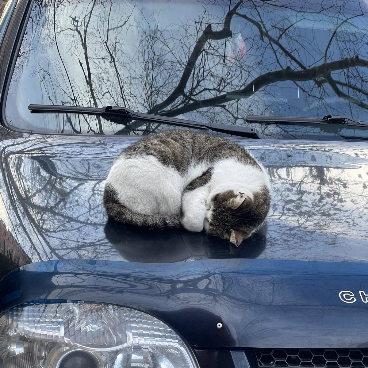 Lira 🤸🏼‍♀️ tweet media