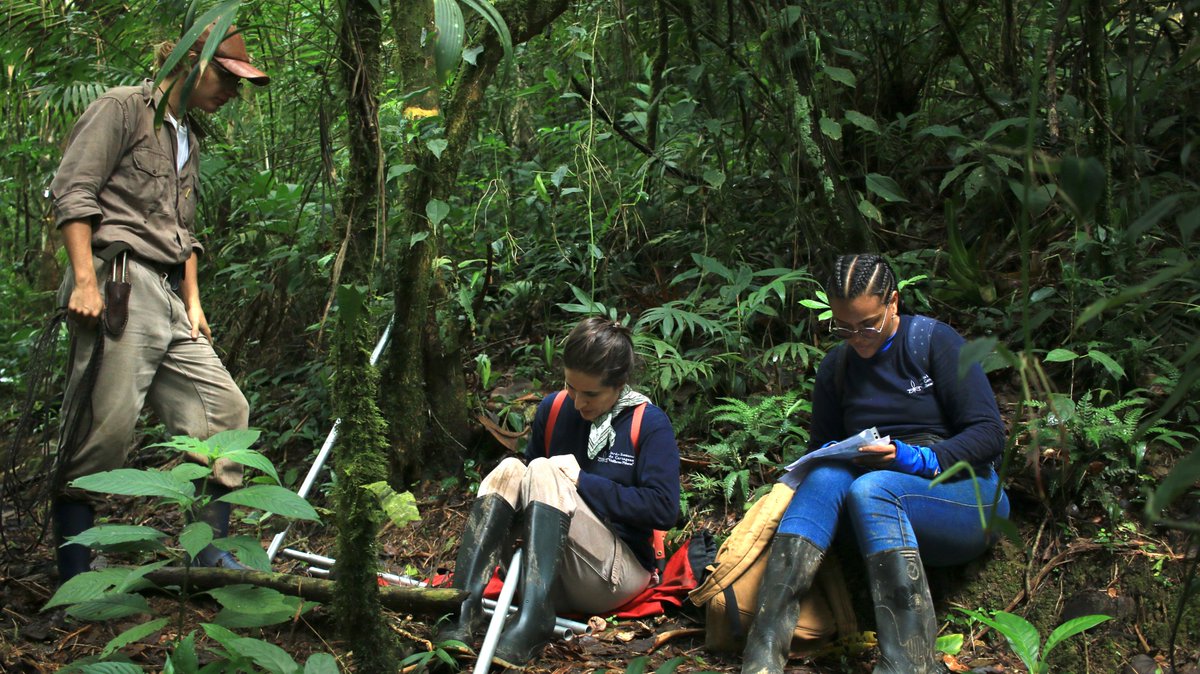 M_Gostel's tweet photo. 📢#GGIGardens Partner #Award Announcement: 5 Gardens receive funds to support #genomic &amp; #herbarium #collections in 4th year of program.

Press Release here: https://t.co/LpcpzrOQZx

@BRIT_org @BGCI @USBotanicGarden @JBGP_Cartagena @anuragdhyani @KirstenboschNBG @RwandaHerbarium https://t.co/84vVq2QNj8