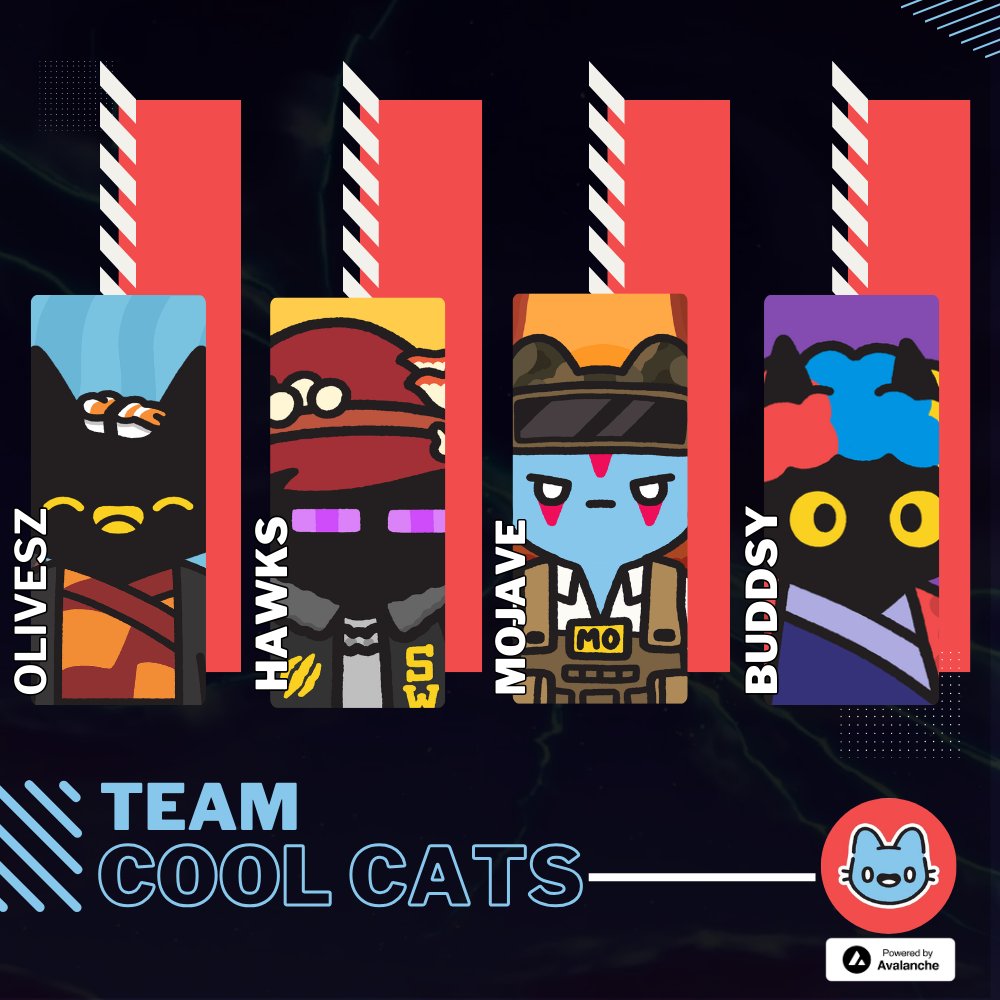 Cool Cats tweet media