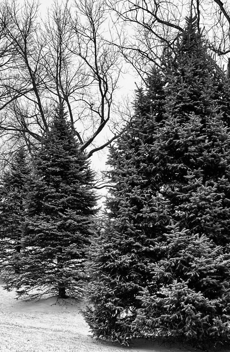 Moon4Life4Us's tweet photo. #Snow #KansasCityStrong  #FamilyTime  #A4M  #A4MU #Tradix https://t.co/QS5qDB3JYq