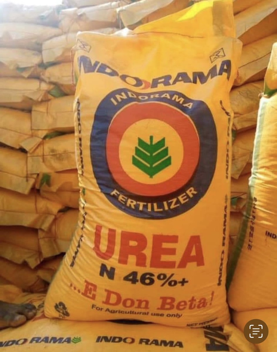 prettyanas_'s tweet photo. UREA fertilizer available at affordable price

Location: katsina 
For both wholesale &amp; retail

Kindly DM or contact me for enquiry.

Thanks for reposting 😂🙏 https://t.co/nsJRVJuQG3