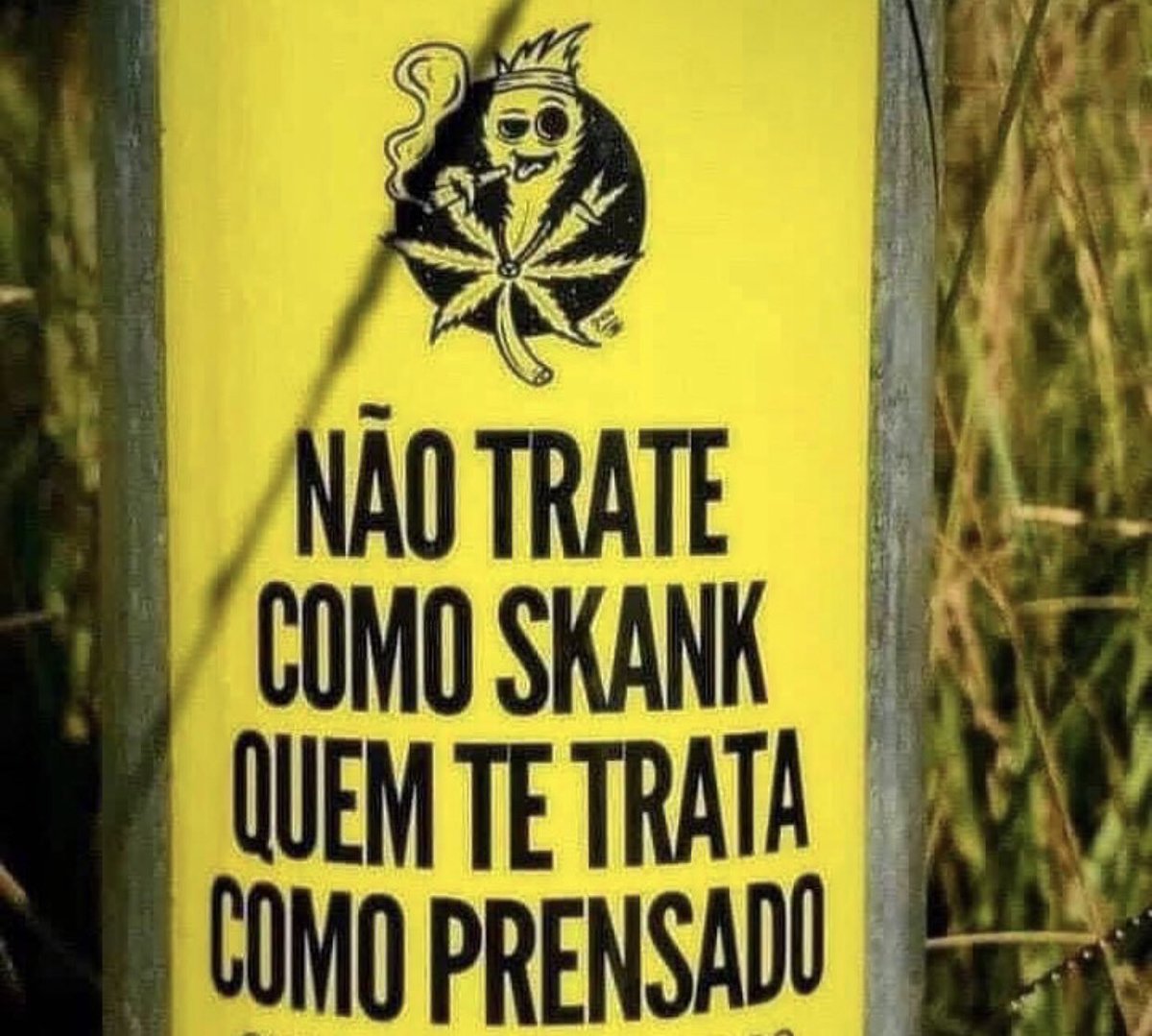conselho pra vida:
