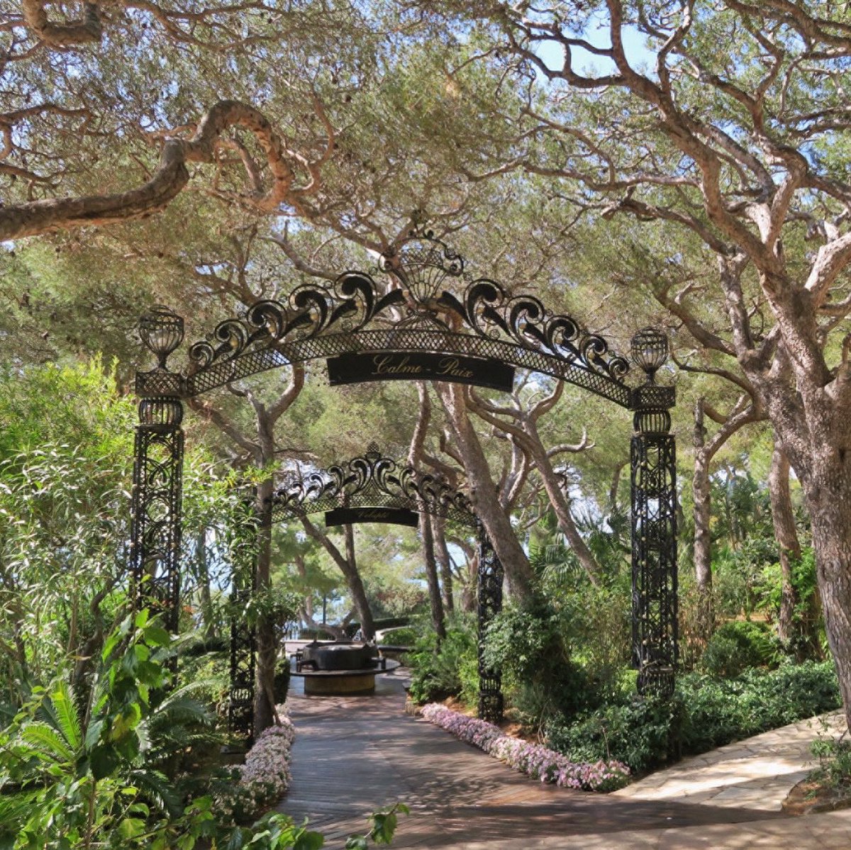 FSCapFerrat's tweet image. Calme, Paix &amp;amp; Volupté 💫 
Our enchanting Volupté Gardens leads to your dream event overlooking the Mediterranean sea.🤍