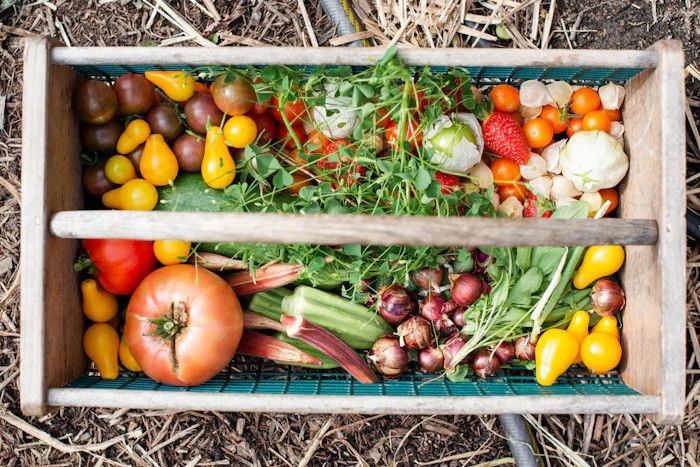 ProducePay raised $38M in Series D for global expansion, reducing waste with efficient trade programs that cut rejection rates by 90% and CO2 by 356 tons. #AgriTech #SustainableFarming #GlobalExpansion
buff.ly/3T3kutD