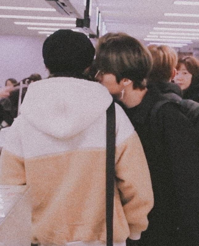 minsungadickted's tweet photo. they like to sniff each other https://t.co/Pdb8NXUDXp