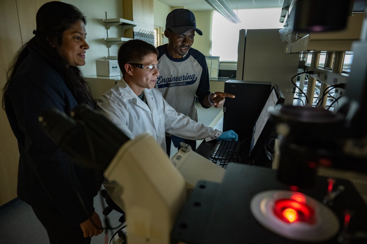 Donor support of the Summer Undergraduate Research Experience is helping pave a path for WVU students, providing paid research opportunities alongside faculty mentors.

One of those is <a href="/WVUHonors/">WVU Honors College</a> student Christopher Smith ➡️ go.wvu.edu/4g8fg
