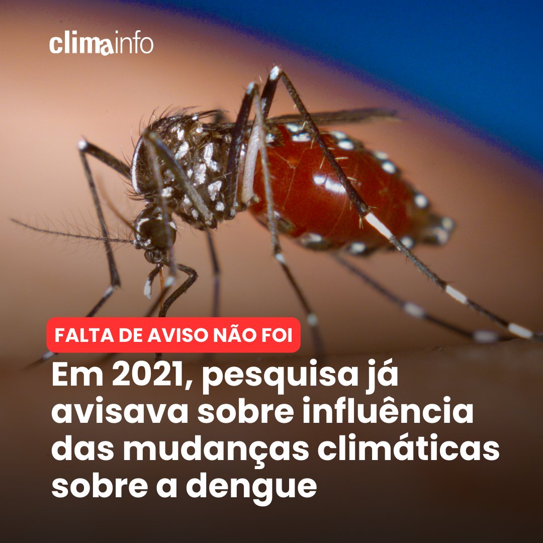 A matemática é simples: o aumento das temperaturas médias e mínimas nos próximos anos favorece o ciclo de reprodução do Aedes. Há anos, pesquisadores da @ufrj e da @UFPR já alertavam para o problema 👇 dgrj.com.br/cidade/rio-de-…