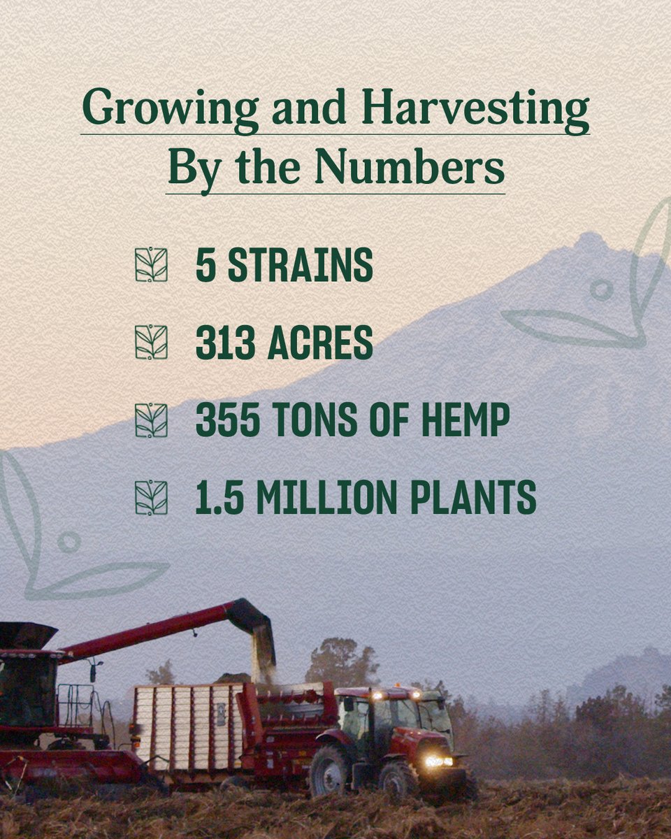 lazarusnaturals's tweet photo. From the time our plants go into the ground in April and May until they’re harvested, there’s a lot of work to be done. Check out these stats from our 2023 Growing and Harvesting season 💚

#Farm #OregonFarm #Harvest #Farmer #Hemp #CentralOregon https://t.co/A8D0ONtp4u