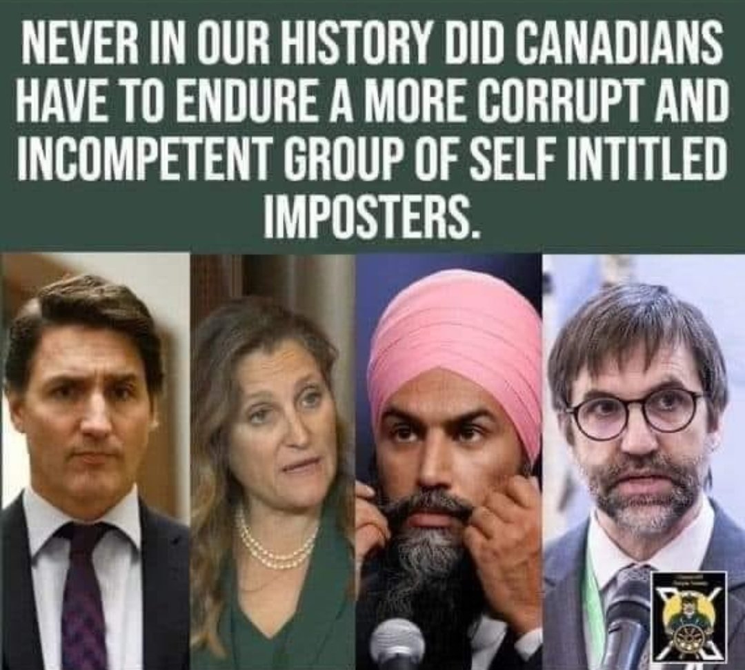 Jeffrey49035774's tweet photo. @AmazingZoltan #RunJustinRun #TrudeauForTreason #FreelandForTreason #SinghForTreason #GuilbeaultForTreason https://t.co/WqHUnYyRGX