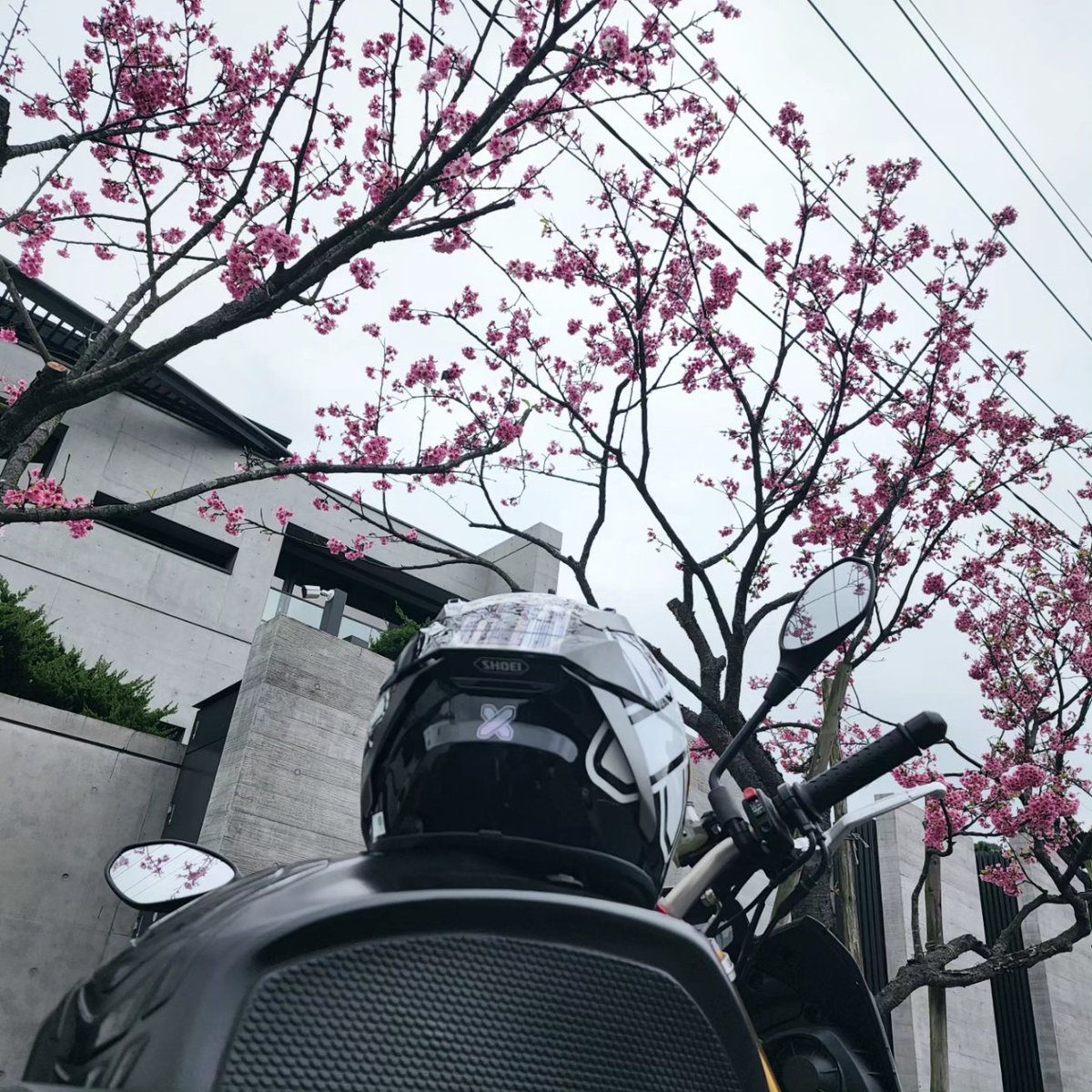 heerochang's tweet photo. 歩く
#tuono
#shoei
#xfifteen
#cross https://t.co/i4dHcUGoQw