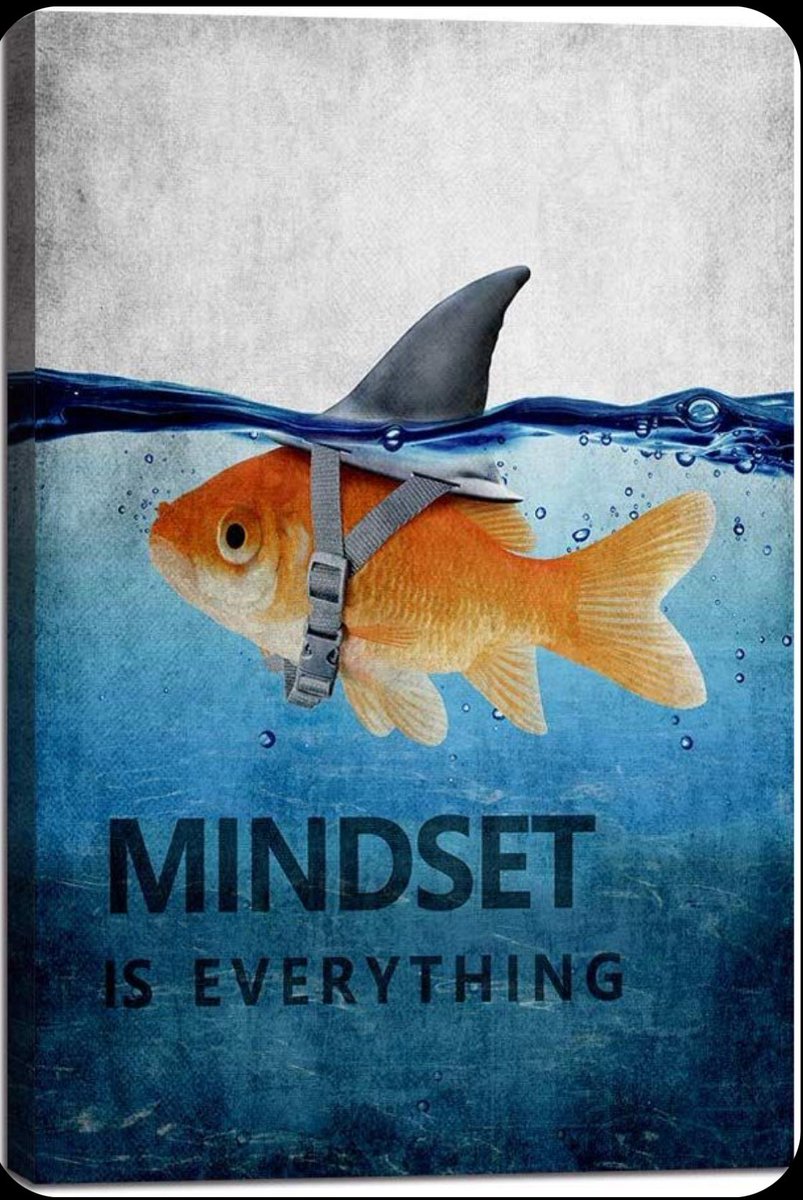 tdbear25's tweet photo. "What you think, you become." - Buddha https://t.co/rDRkQt0INa