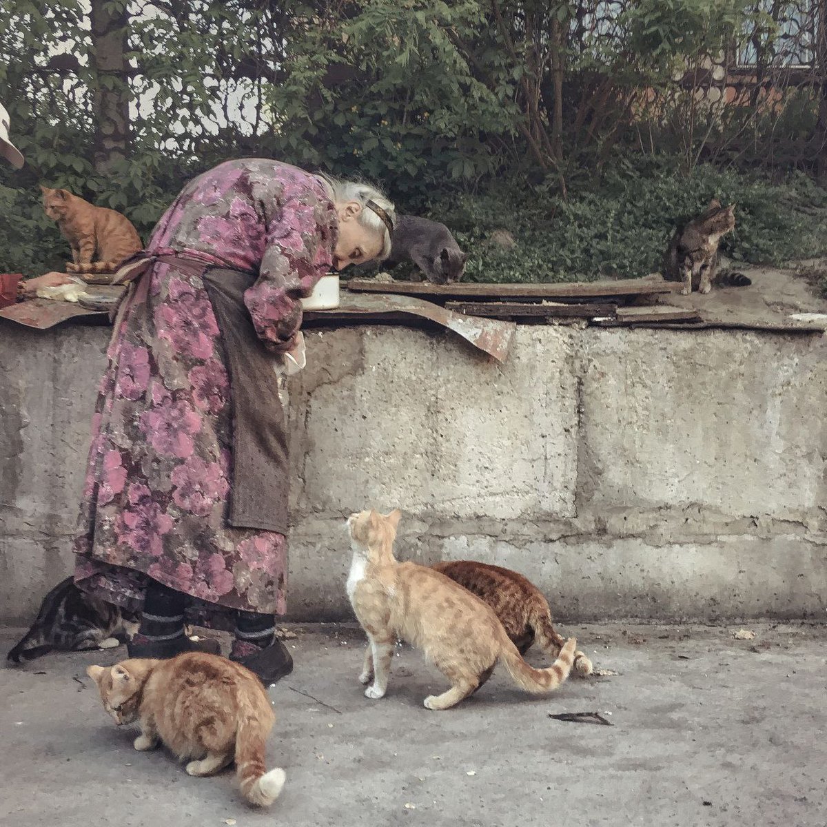 Wild_SPb's tweet photo. Как будто мало бед.

Умер фотограф Дмитрий Марков.
У него были реально крутые, колоритные, душевные фотоработы. https://t.co/V6R9PDIrgC