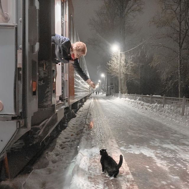 Здесь Шепелин tweet media