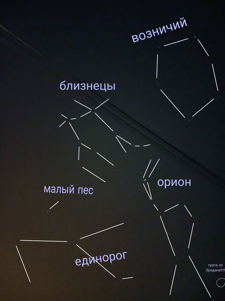 Я пришла показать звёздочки,  которые вчера сфотографировала, надеюсь твиттер их не съест, как тг