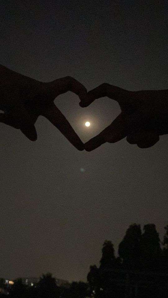 حفصہ فاطمہ (@rajpoot5512) on Twitter photo Good Night 🌉😴💤 Good Night 🌉😴💤