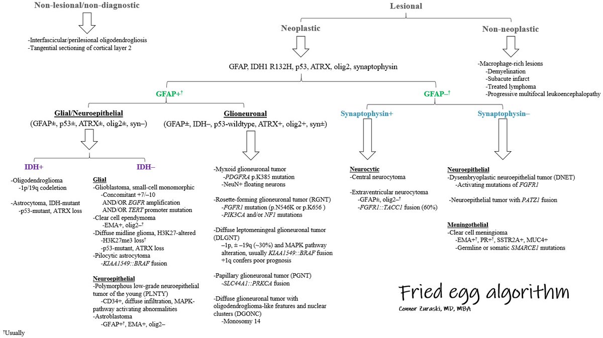 'If you're thinking it's an oligo, it's not!' Friday fried egg algorithm update. #Neuropath