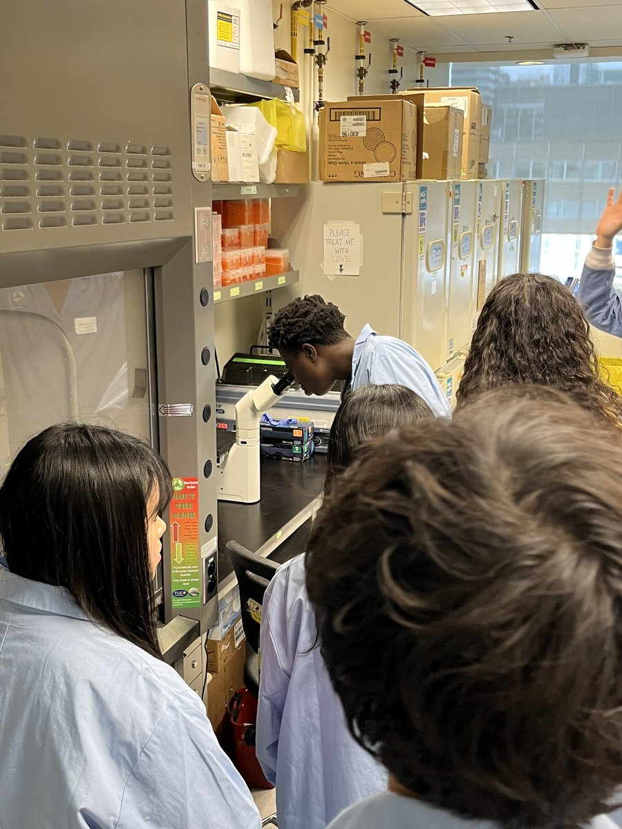 UHN STEM Pathways tweet media