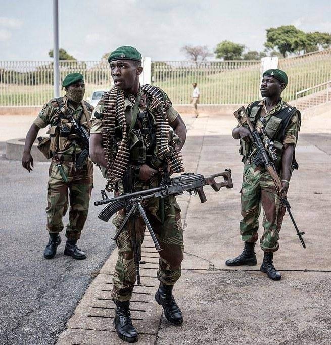 Zimbabwean army can end the war in Congo In 5 days