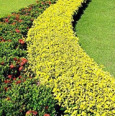 #صورة_ملف_شخصي_جديدة