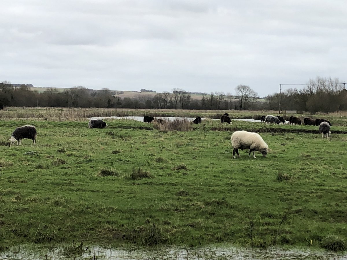 SophieGooner's tweet photo. A day at very muddy Langford Lakes with @youth_adventure and in amongst some pollarding and weaving, made a salve #mindyourbeeswax #topicalapplication #smellsgood ๐ง https://t.co/jLFpe8J6KT