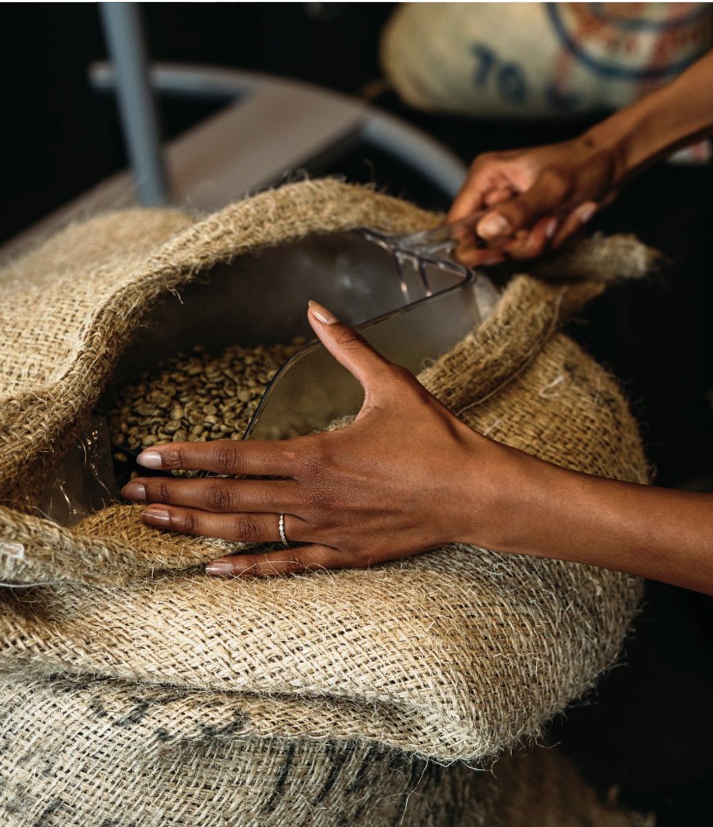From the lush coffee plantations to the skilled hands that meticulously harvest, sort, and roast each bean, the journey of coffee is woven with dedication and craftsmanship. A journey of care that’s in every step, and every cup of our coffee. ☕✨