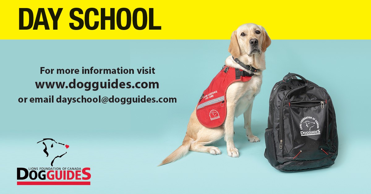 LFC Dog Guides tweet media