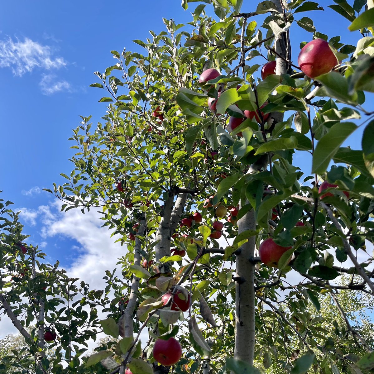 Eathues's tweet photo. HueTrition takes pride in providing valuable insights into the nutritional value and quality of your food so you can feel confident about your choices.

https://t.co/tOQGW8AXb8 https://t.co/bCrRFPZ1Ce