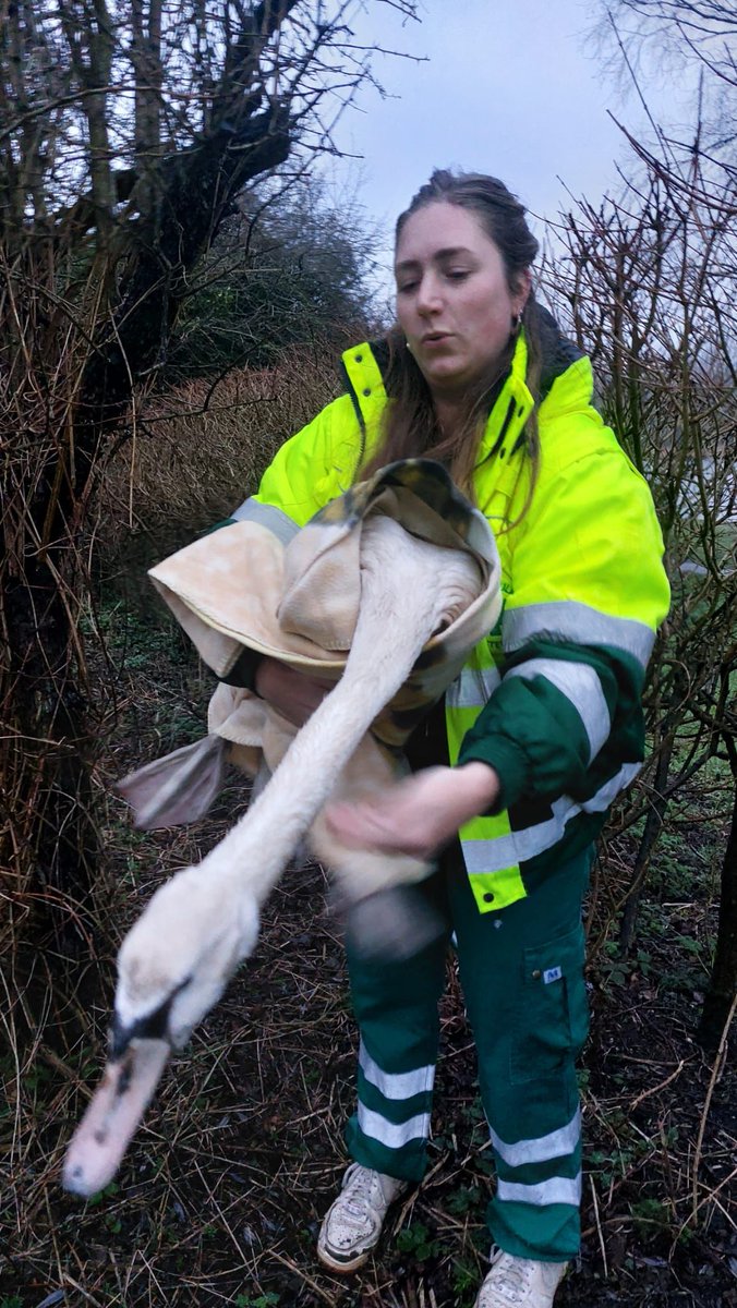Dierenambulance Amsterdam tweet media