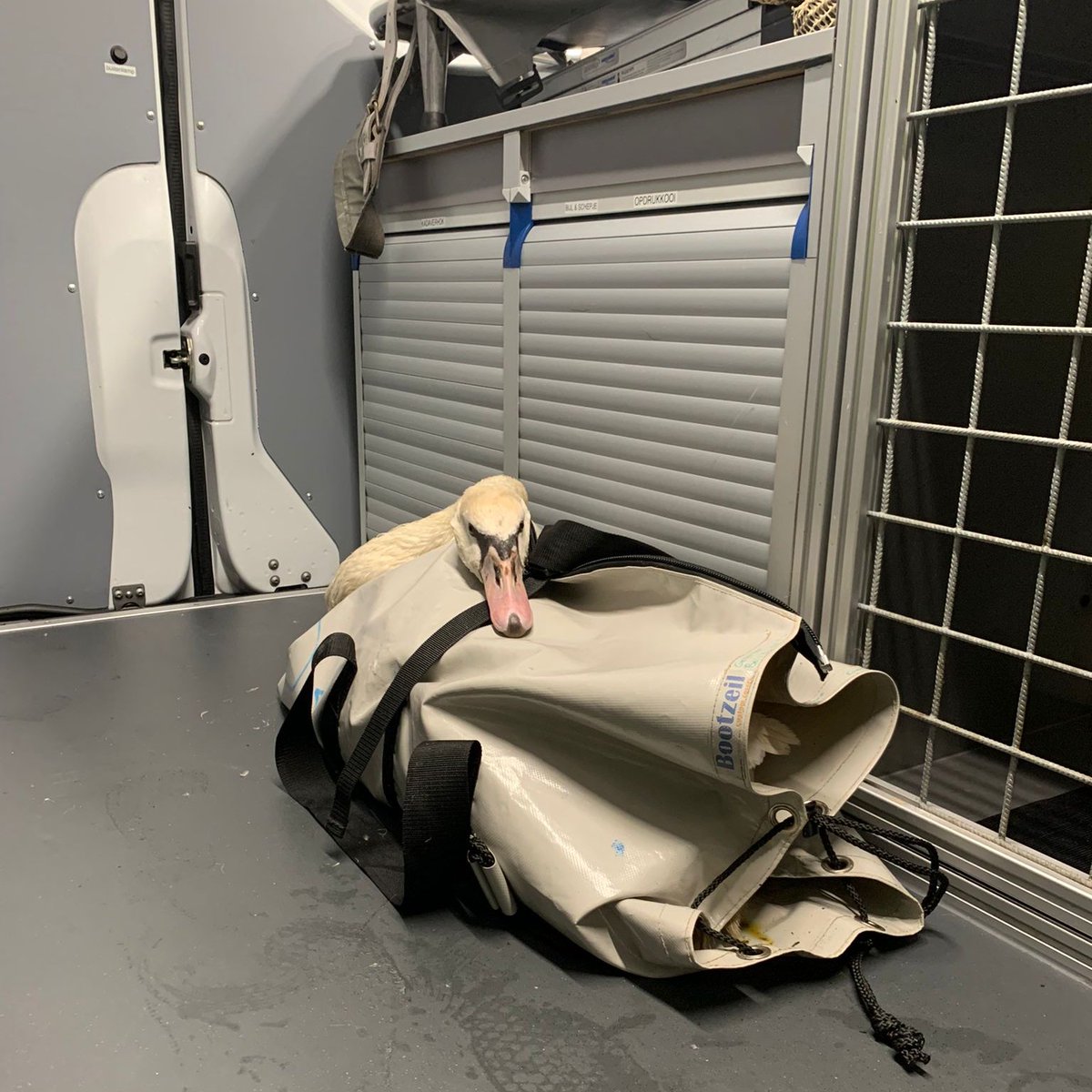 Dierenambulance Amsterdam tweet media